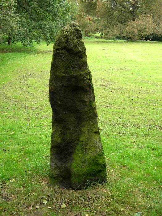 Witch's Stone (Standing Stone / Menhir) by Rosie