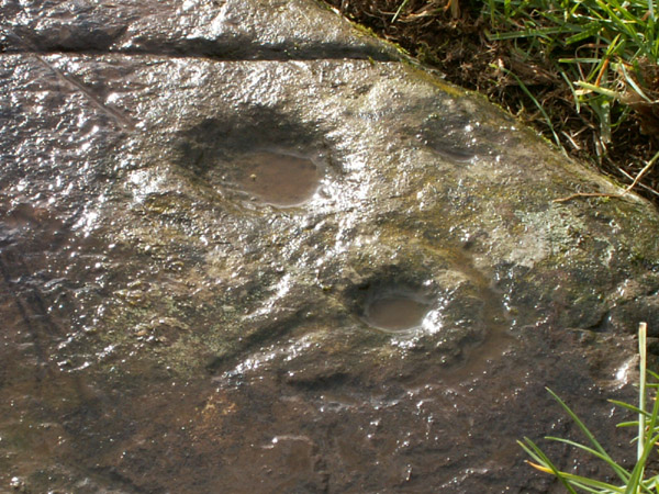 Mossyard (Cup and Ring Marks / Rock Art) by rockartwolf