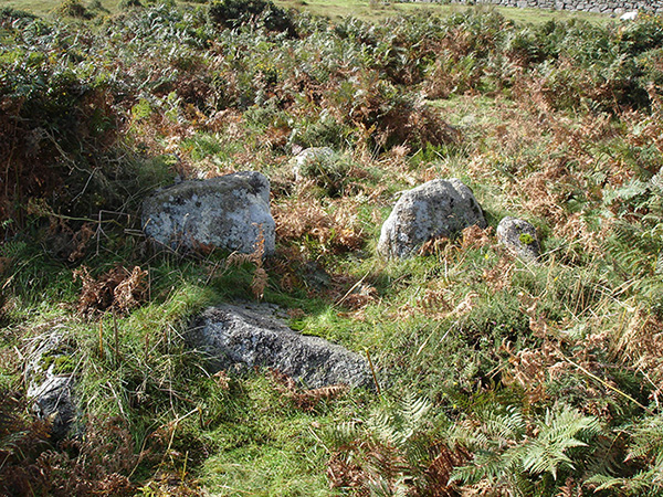 Buttern Hill Chambered Cairn. (Chambered Cairn) by Lubin