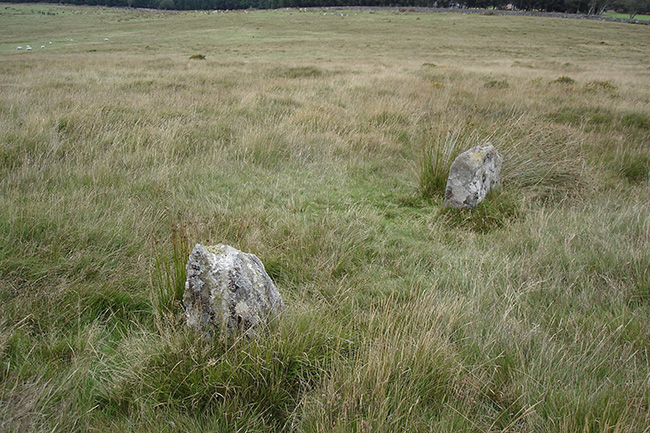 Shovel Down & The Long Stone (Multiple Stone Rows / Avenue) by Lubin