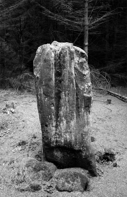 Bygate Hill (Standing Stone / Menhir) by Hob