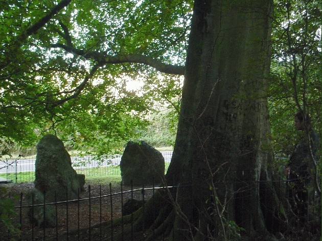 The Nine Stones of Winterbourne Abbas (Stone Circle) by soulsong