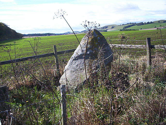 Caddam (Standing Stone / Menhir) by hamish