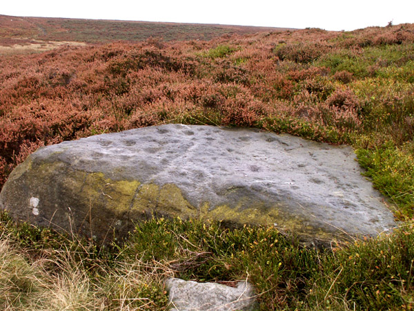 Backstone Beck West (Cup and Ring Marks / Rock Art) by rockartwolf