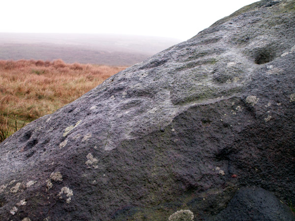 The Badger Stone (Cup and Ring Marks / Rock Art) by rockartwolf