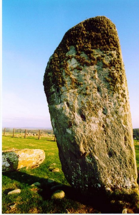 Drumtroddan Standing Stones (Standing Stones) by follow that cow