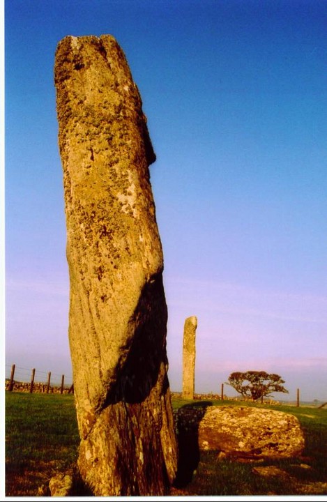 Drumtroddan Standing Stones (Standing Stones) by follow that cow