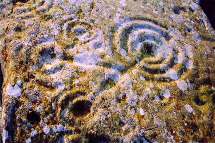 Drumtroddan Carved Rocks (Cup and Ring Marks / Rock Art) by follow that cow