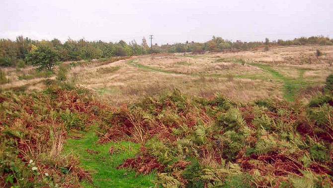 South Kirkby (Hillfort) by Mothy