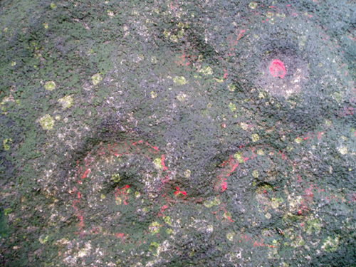 Willy Hall's Wood Stone (Cup and Ring Marks / Rock Art) by pebblesfromheaven