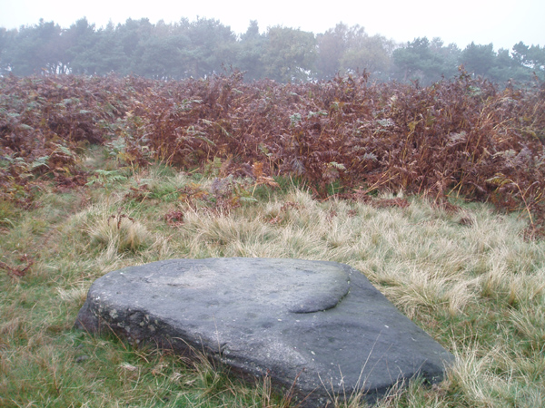 Barmishaw Stone (Cup and Ring Marks / Rock Art) by pebblesfromheaven