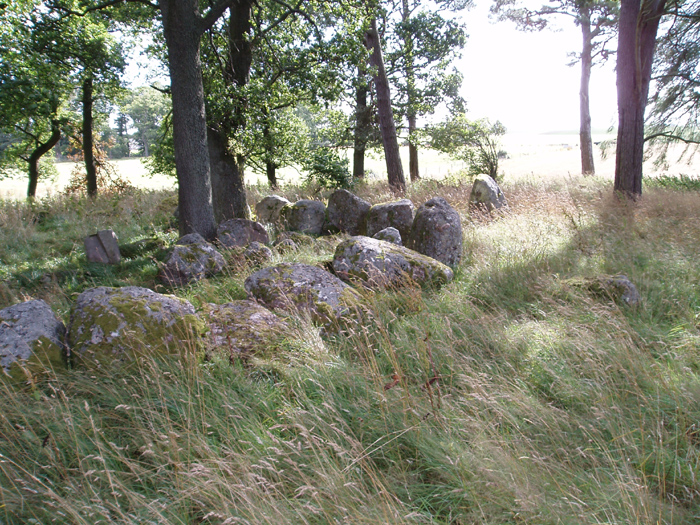 Druidtemple (Clava Cairn) by pebblesfromheaven
