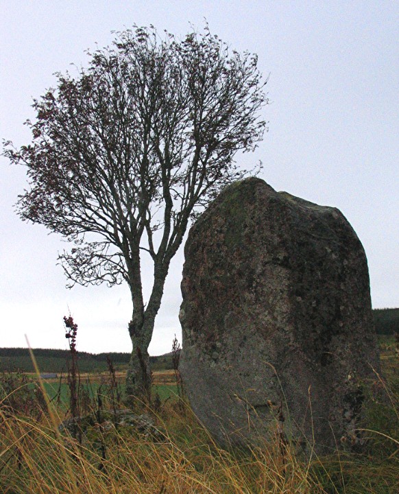 Druidstones (Stone Circle) by greywether