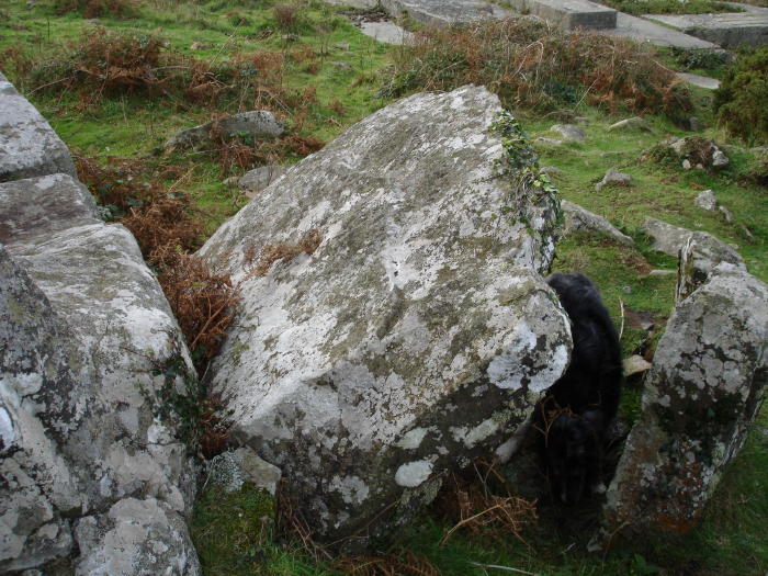 Carn Llidi Tombs (Chambered Tomb) by moss