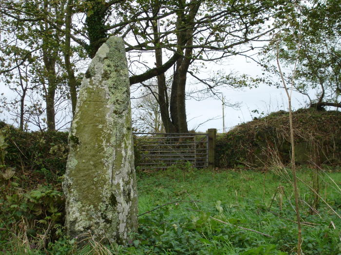 Tremaenhir (Standing Stones) by moss