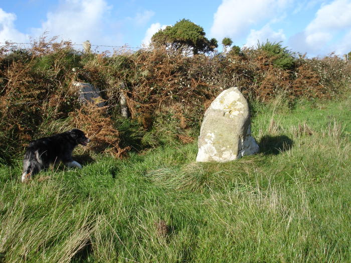 St Nons (Standing Stones) by moss