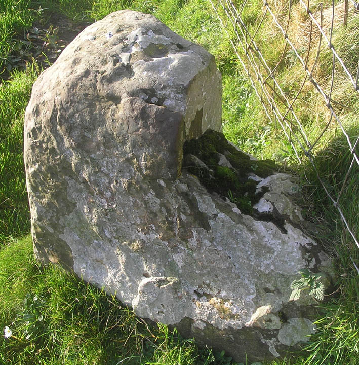 Graystane (Standing Stone / Menhir) by wideford