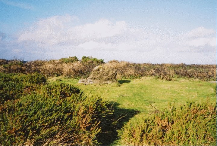 Giant's Grave (Dartmoor) (Long Barrow) by johan