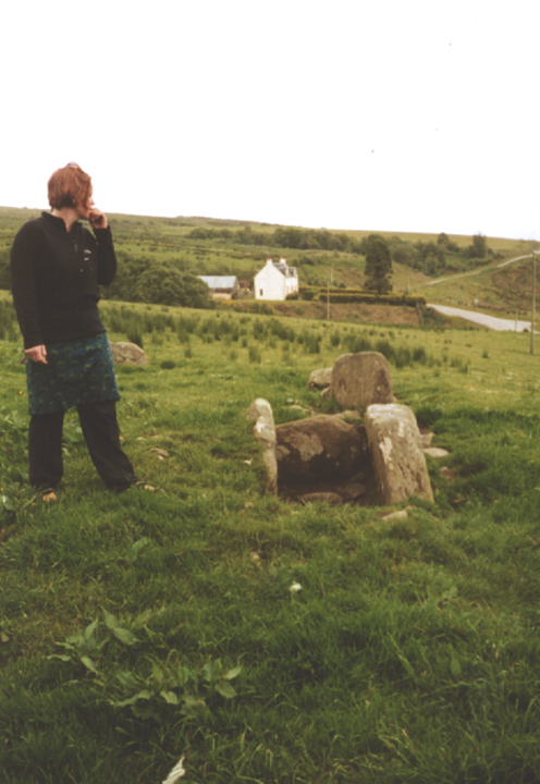 Glenreasdale Mains (Chambered Cairn) by Merrick