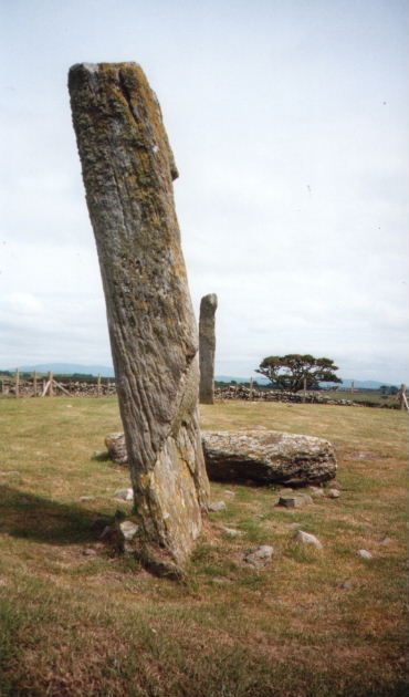 Drumtroddan Standing Stones (Standing Stones) by moey