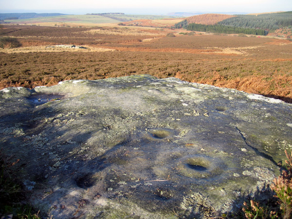 Millstone Burn (Cup and Ring Marks / Rock Art) by rockandy