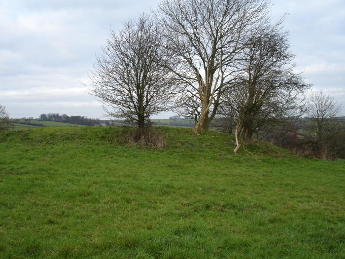 Langridge (Round Barrow(s)) by moss
