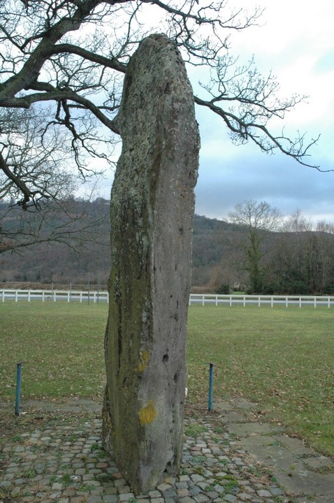 The Growing Stone (Standing Stone / Menhir) by Jane