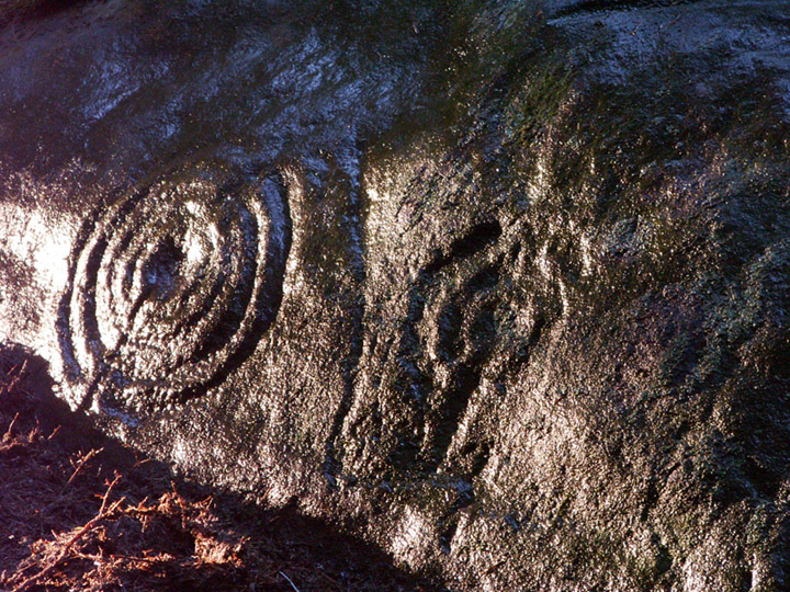 Buttony (Cup and Ring Marks / Rock Art) by rockartwolf