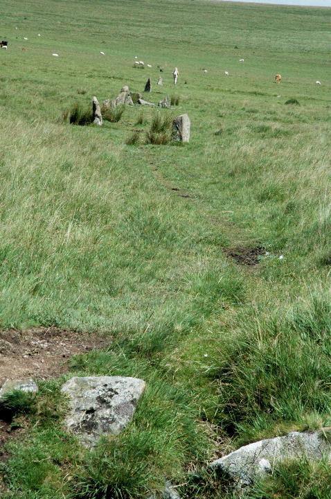 Ringmoor Cairn Circle and Stone Row (Stone Row / Alignment) by Moth