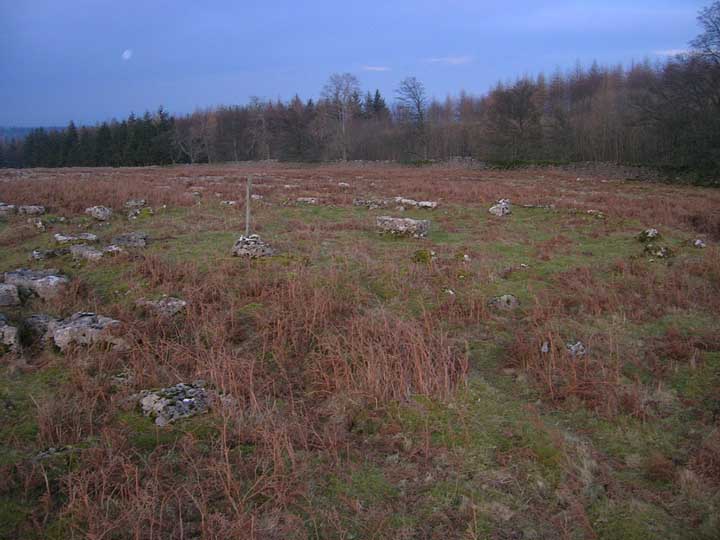 Knipe Moor (Stone Circle) by Creyr