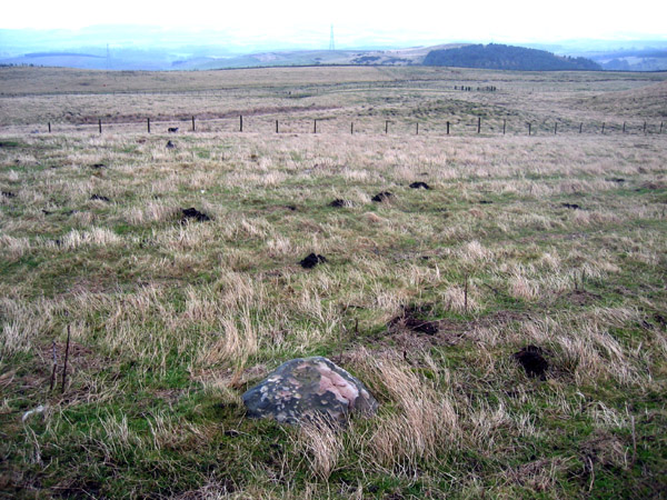 South Middleton Moor (Cup and Ring Marks / Rock Art) by rockandy