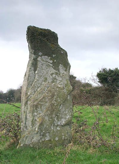 Baltray (Standing Stones) by megaman