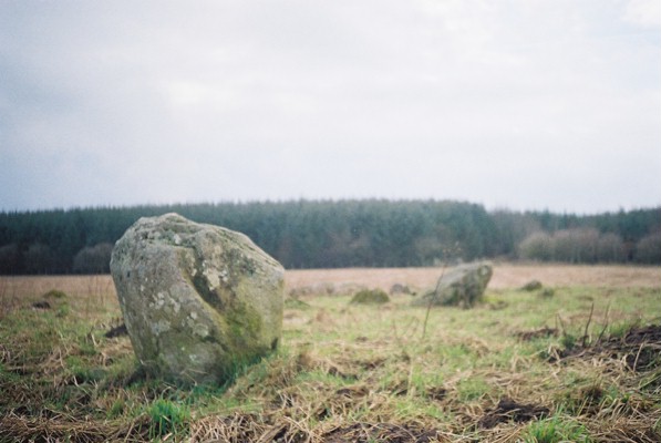 Shapbeck Plantation (Stone Circle) by Creyr