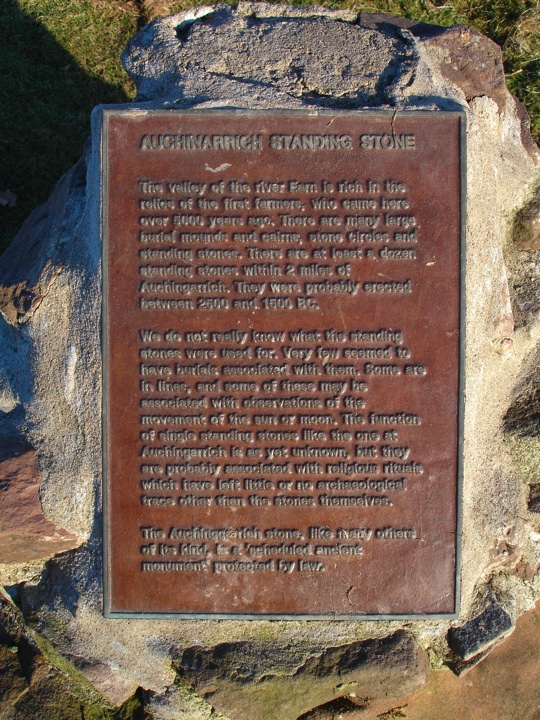 Auchingarrich Farm (Standing Stone / Menhir) by BigSweetie