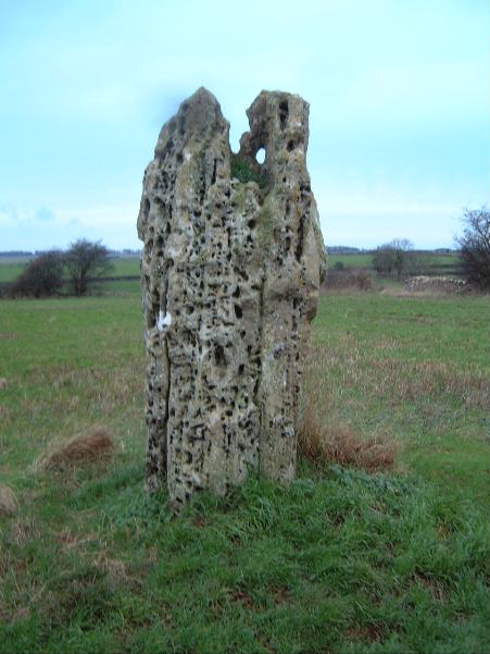 Hawk Stone (Standing Stone / Menhir) by baza