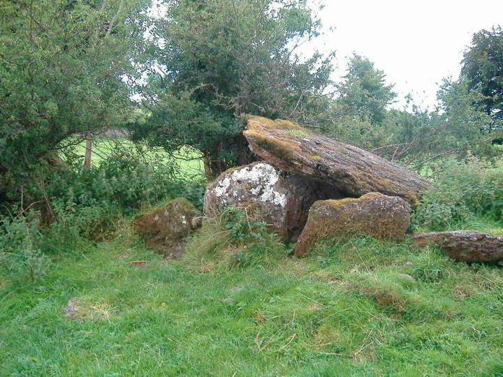 Marble Hill (south) (Wedge Tomb) by bawn79
