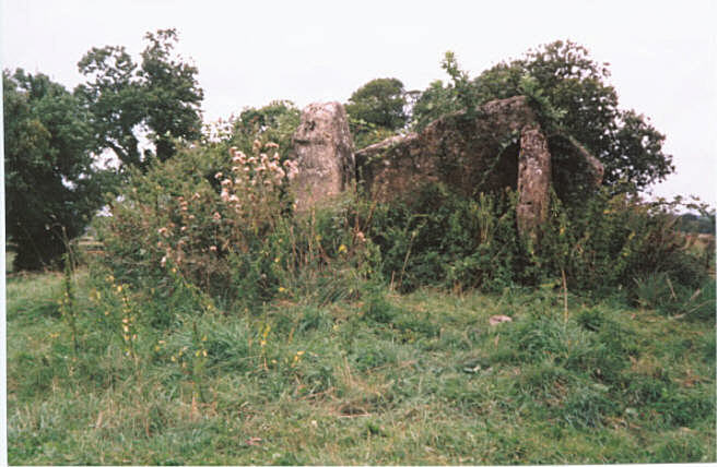 Lugbury (Long Barrow) by hamish