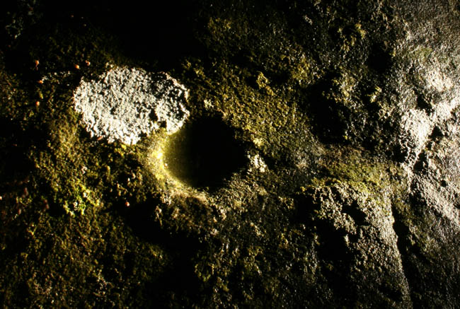 Millstone Burn (Cup and Ring Marks / Rock Art) by Hob
