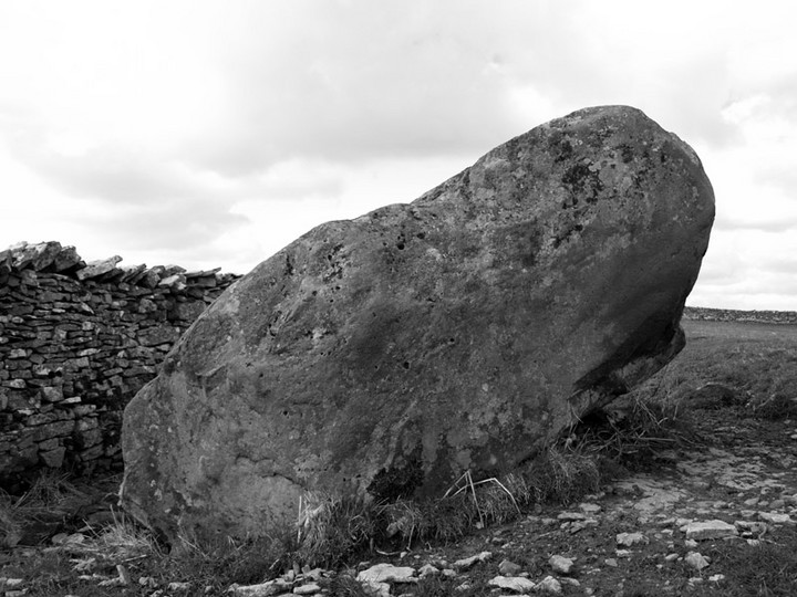 Aspers Field (Standing Stone / Menhir) by rockartwolf