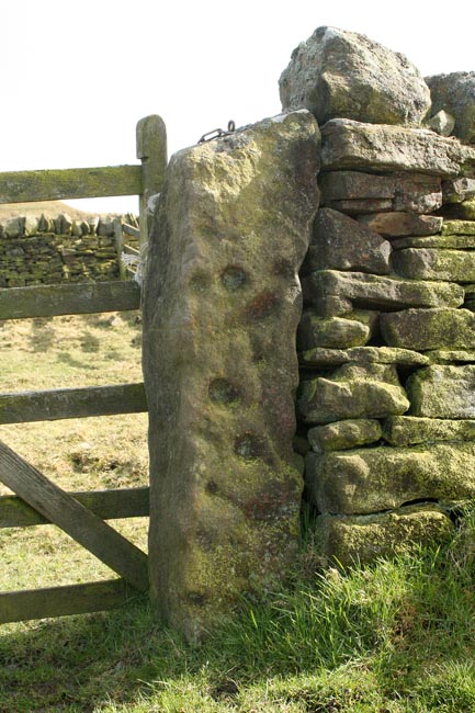 High Shaws (Cup Marked Stone) by Hob
