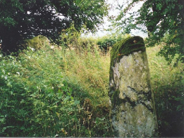 Wolfhill (Standing Stones) by Martin