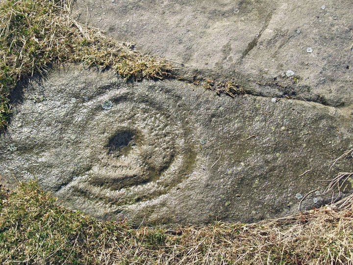 Whitsunbank 2 (Cup and Ring Marks / Rock Art) by rockartwolf