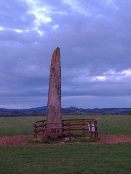 Punchestown Standing Stone (Standing Stone / Menhir) by bawn79