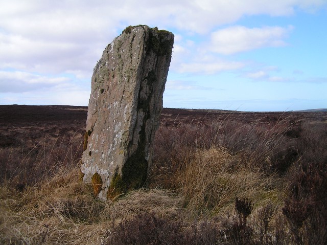 Dorrery (Standing Stone / Menhir) by Lianachan