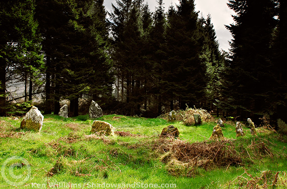 Boleycarrigeen (Stone Circle) by CianMcLiam