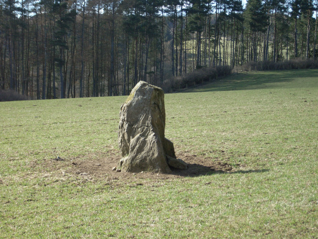 Balnabroich Stone (Standing Stone / Menhir) by Greyman