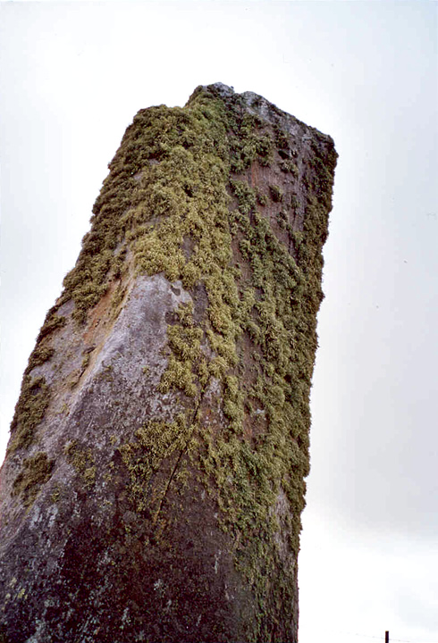 Clach an Trushal (Standing Stone / Menhir) by Bonzo the Cat
