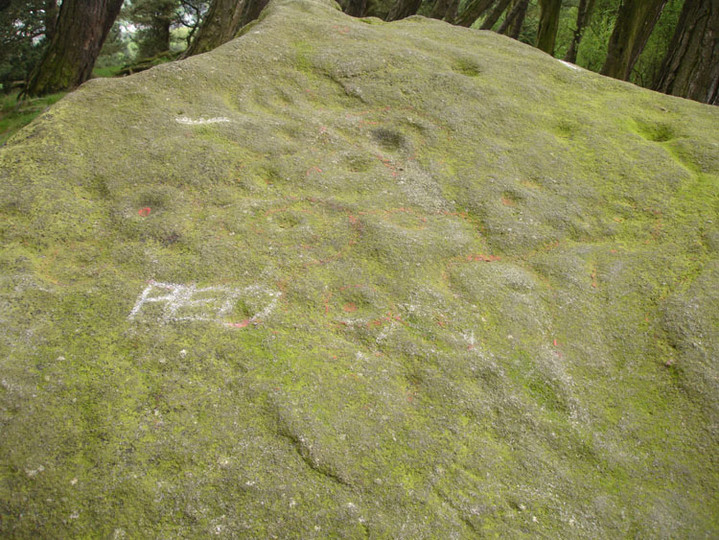 Willy Hall's Wood Stone (Cup and Ring Marks / Rock Art) by David Raven