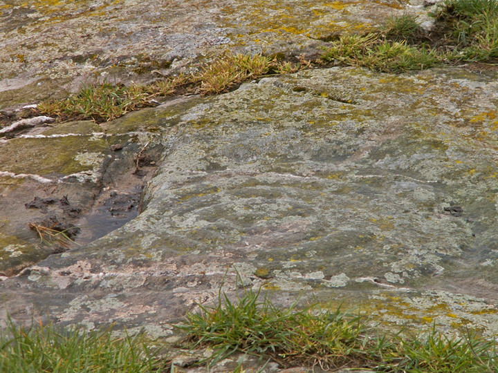 Blairbuy 1 (Cup and Ring Marks / Rock Art) by rockartwolf