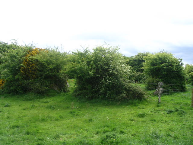 Lough Gur D (Stone Circle) by daveyravey
